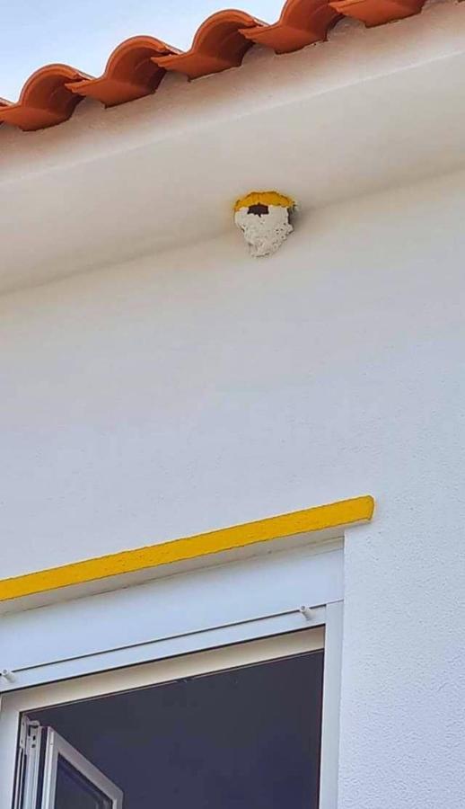 Casa Do Ninho - Entre O Campo E A Praia Cadaval Εξωτερικό φωτογραφία